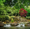 Jigsaw Puzzle - Japanese Garden 2