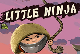 Little Ninja