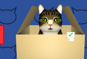 Cat Box Bowling
