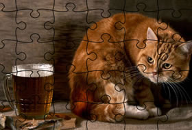 Jigsaw Puzzle Funny Animals