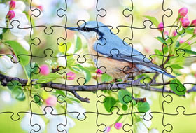 Jigsaw Puzzle Spring