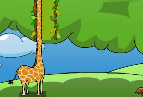 Giraffe Above