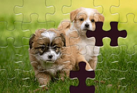 Daily Jigsaw