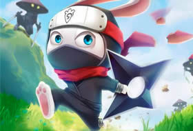 Ninja Rabbit