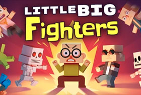 Little Big Fighters