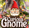 The Curious Gnome