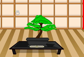 Hurry and Escape - The Dojo