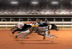 Greyhound Racing