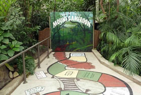 Amazing Zoo Escape
