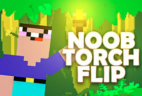 Noob Torch Flip 2D